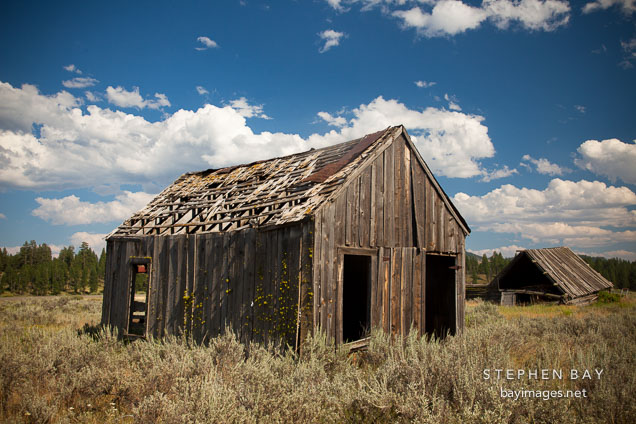 Dilapidated shed. Whitney, Oregon.