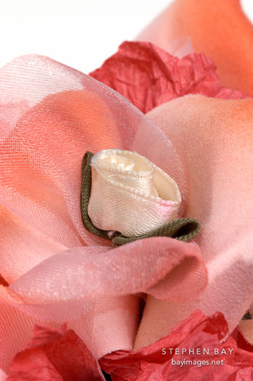 Flower book by Nancy Welch.