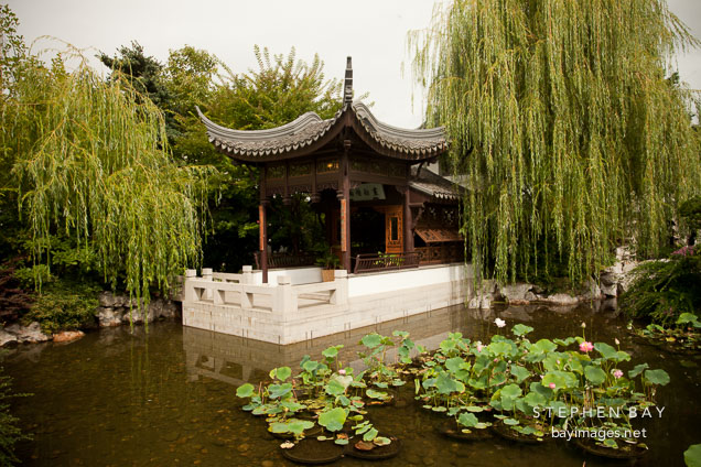Lan Su Chinese Garden. Portland, Oregon.