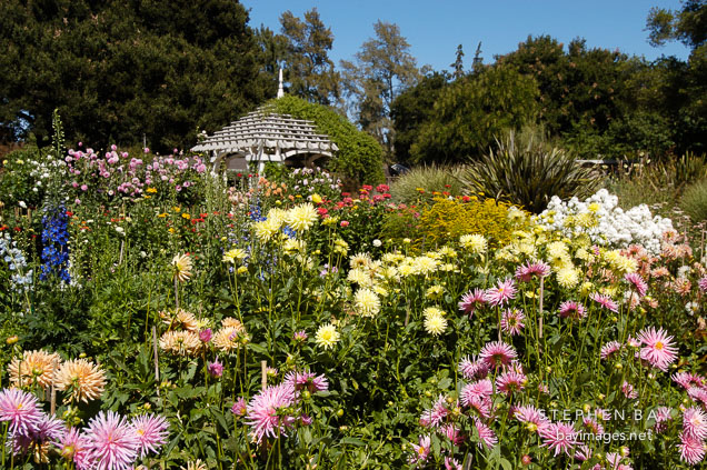 Gamble gardens, Palo Alto, California, USA.