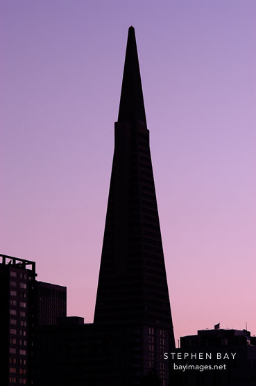 Silhouette of the Transamerica pyramid. San Francisco, California.