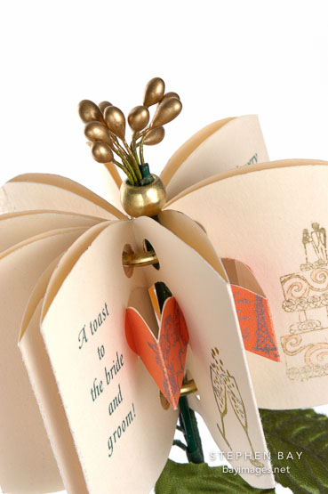 Flower book by Penny Nii.