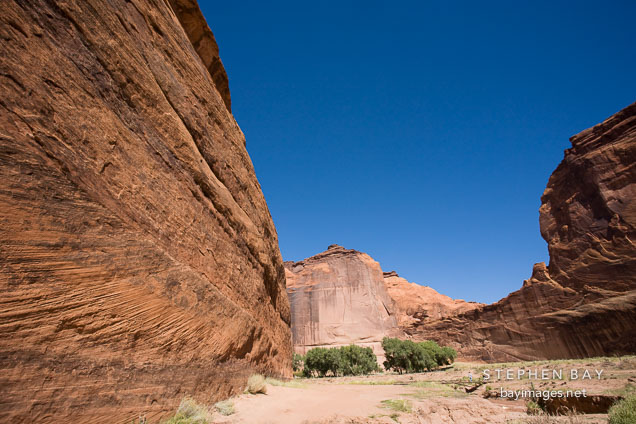 The White House Trail passes by steep canyon walls. Canyon de Chelly NM, Arizona.