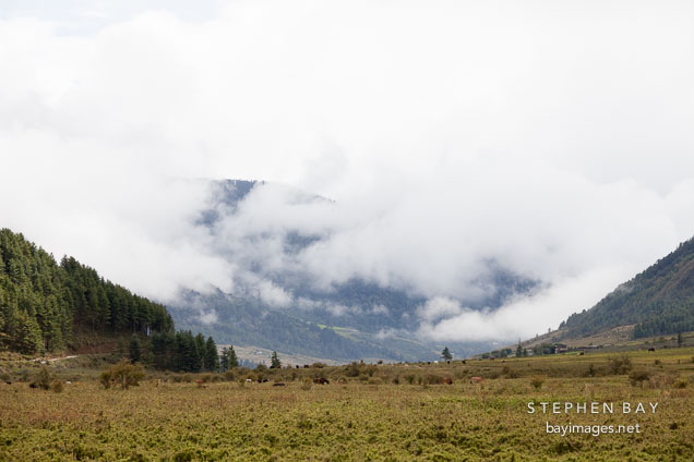 Phobjikha Valley is a bowl-shaped valley formed by glaciers.