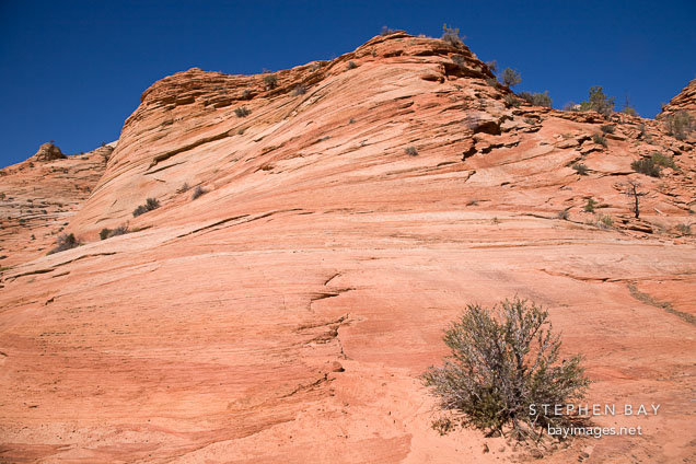 Desolate sandstone in the Zion Plateau. Zion NP, Utah.