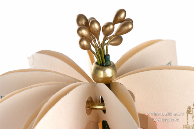 Flower book by Penny Nii.