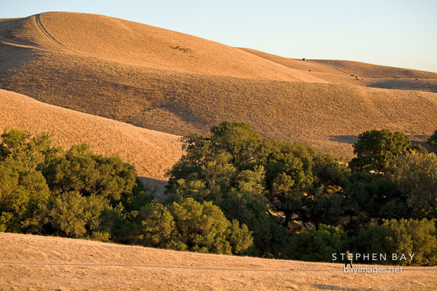 Woman hiking at Mission Peak. Fremont, California.