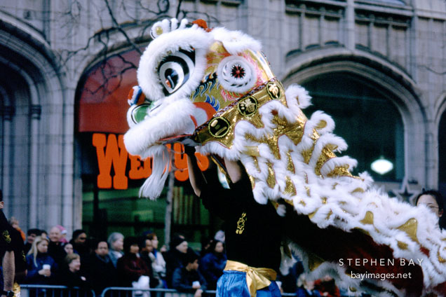 Lion Dancer. San Francisco Chinese New Year Parade, San Francisco, California