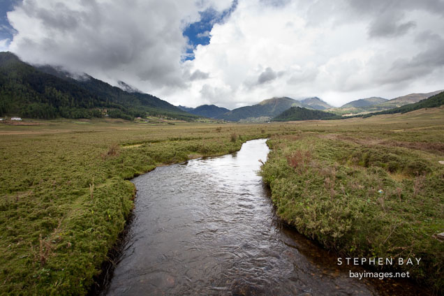 Stream flowing through the center of Phobjikha Valley.
