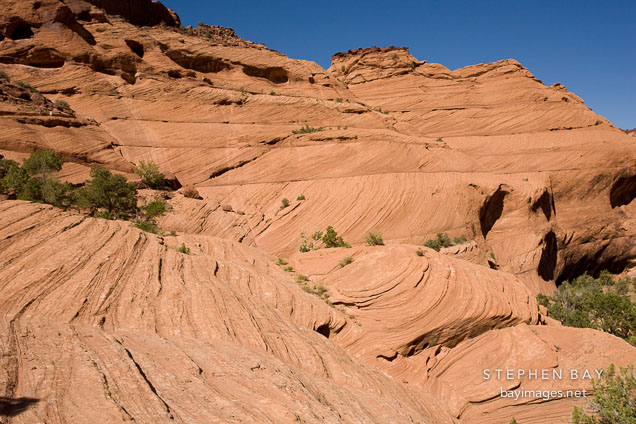 De Chelly sandstone on the trail to the White House Ruin. Canyon de Chelly, Arizona.