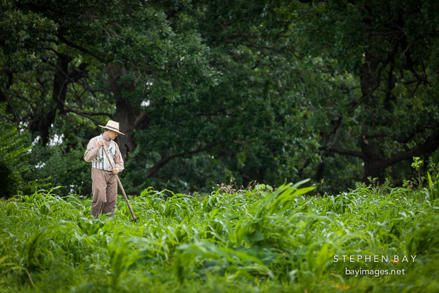 Man tending crops at the pioneer farm.