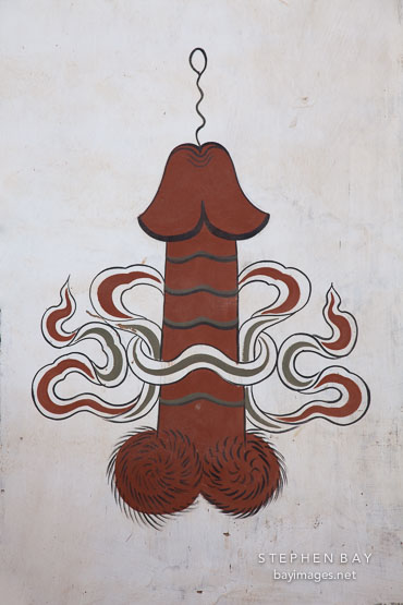 Side of a house with a painting of a penis. Sopsokha, Bhutan.