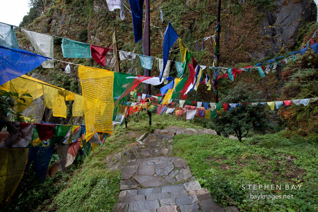 Prayer flags crossing the steps to the Tiger's Nest monastery. Paro, Bhutan.