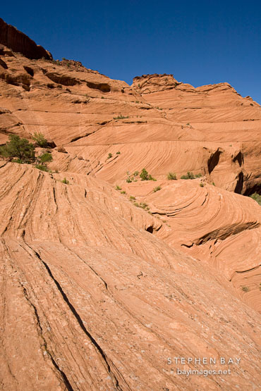 White House Ruin Trail. Canyon de Chelly NM, Arizona.