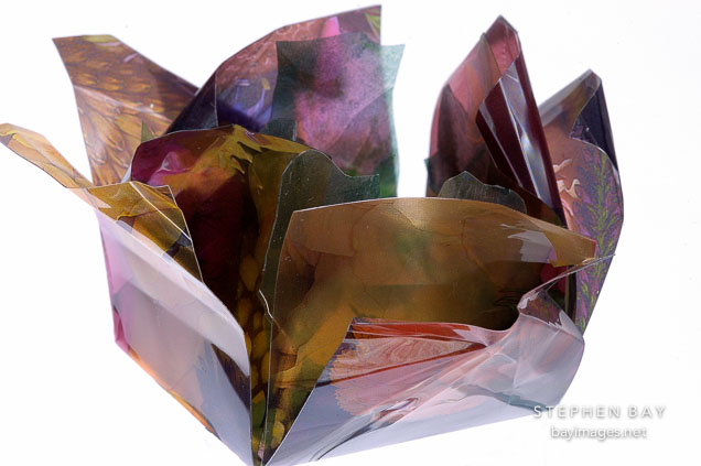 Flower book by Susan LaFranchi-Madonich