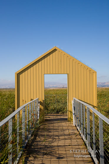 Ghost marina. Alviso, California.