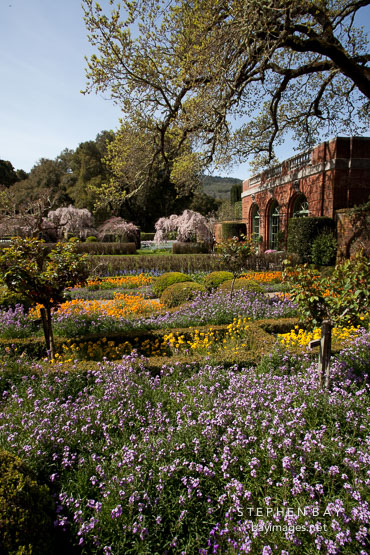 Grounds of the Filoli Gardens.