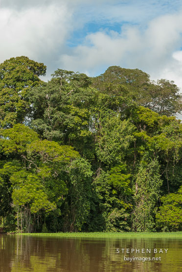 Tortuguero, Costa Rica.