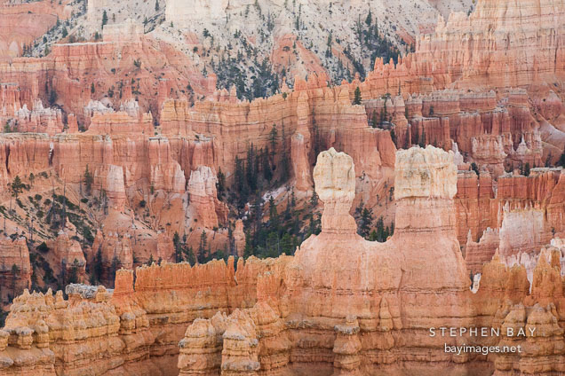 Differential eroson forms many unique shapes. Bryce Canyon NP, Utah.