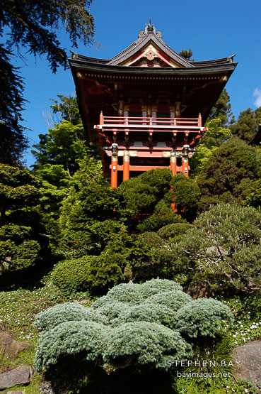 Pagoda in the Japanese Tea Garden. Golden Gate Park, San Francisco, California, USA.