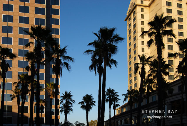 Downtown San Jose, California, USA.