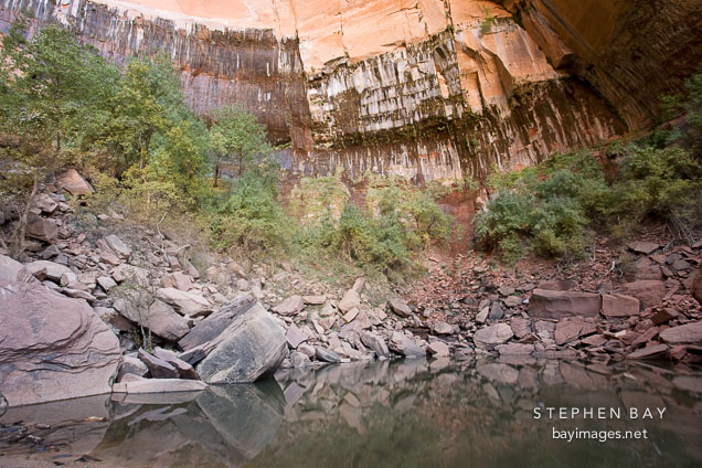 Upper Emerald Pool. Zion NP, Utah.