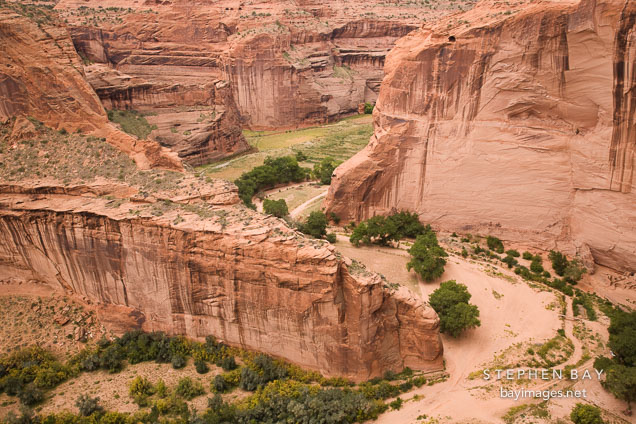Walls of Canyon del Muerto. Canyon de Chelly, Arizona.