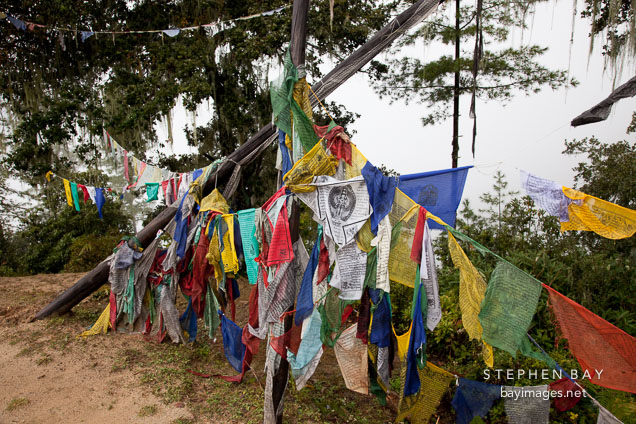 Prayer flags on the trail to Taktshang. Paro valley, Bhutan.
