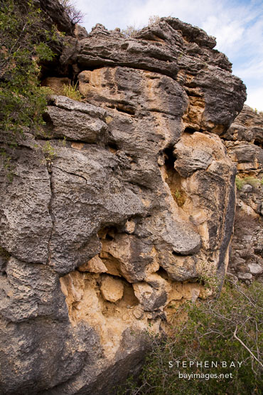 Rock face of the sinkhole at Montezuma Well, Arizona.