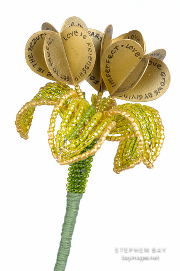 Flower book by Joan Ingoldsby Brown.