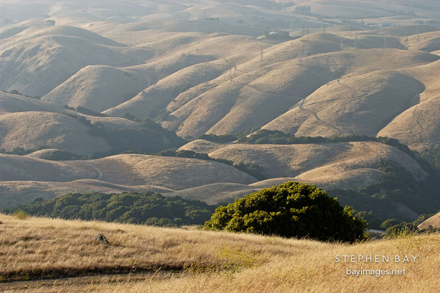 Rolling hills at Mission Peak, Fremont, California, USA.