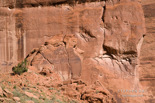 Sandstone rock weathered to look like a face. Canyon del Muerto, Canyon de Chelly NM, Arizona.