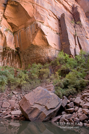 Fallen boulder at Upper Emerald Pool. Zion NP, Utah.