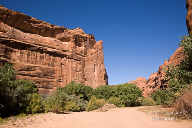 Sandy floor of Canyon del Muerto. Canyon de Chelly, Arizona.