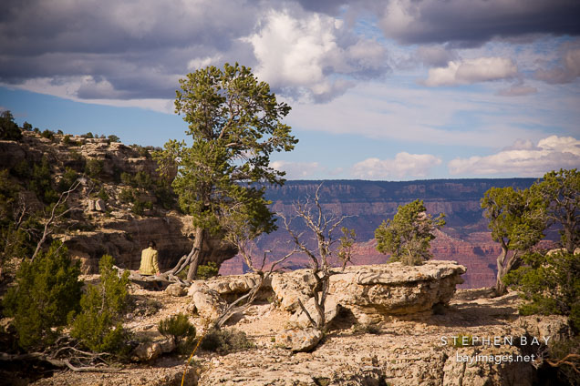 Woman sitting on fallen tree trunk. Grand Canyon NP, Arizona.