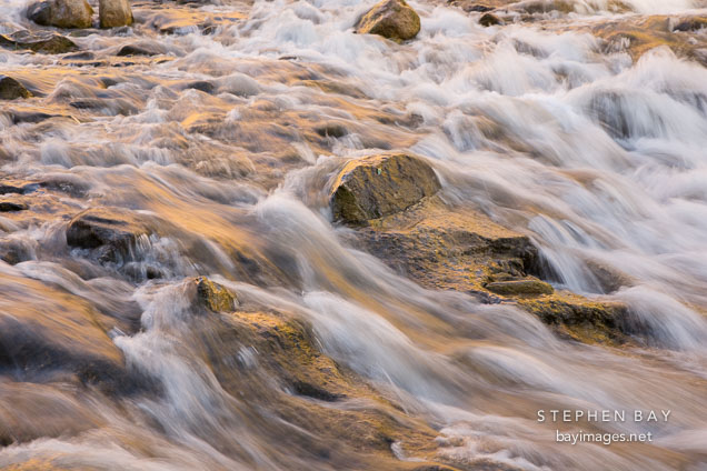 Streaming water glowing with the reflection of the afternoon light. North Fork Virgin River, Zion NP, Utah.