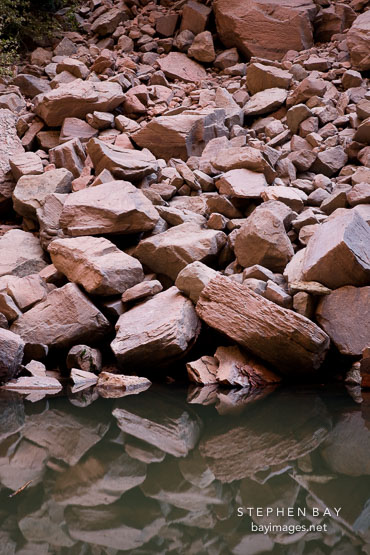 Fallen rocks at the Upper Emerald Pool. Zion NP, Utah.