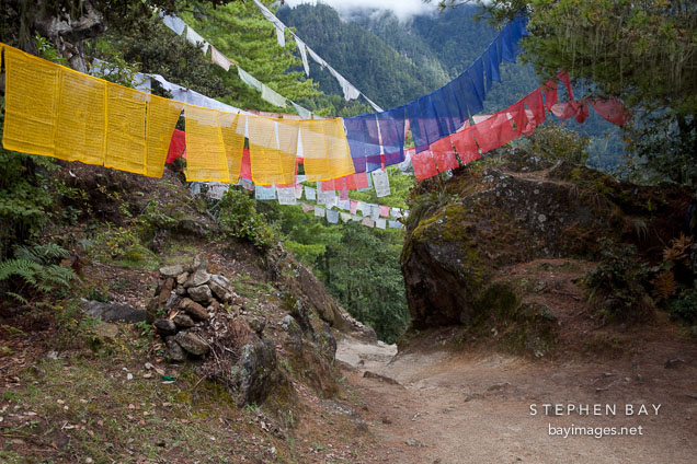 Prayer flags on the trail to Taktshang.