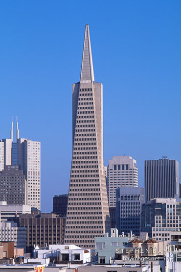 The Transamerica pyramid and the San Francisco skyline. San Francisco, California, USA.