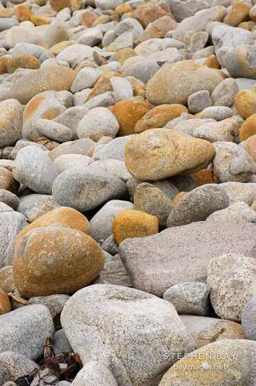 Close up of rocks on the 17-Mile drive, California, USA.