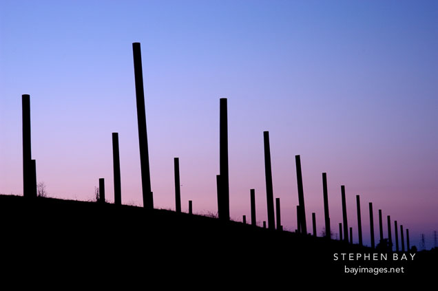Byxbee park hills at twilight. Palo Alto Baylands, California.