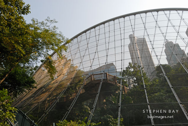 Stainless steel mesh of the Edward Youde Aviary. Hong Kong, China.