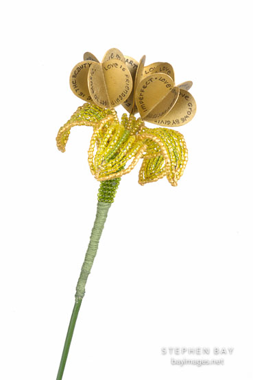 Flower book by Joan Ingoldsby Brown.