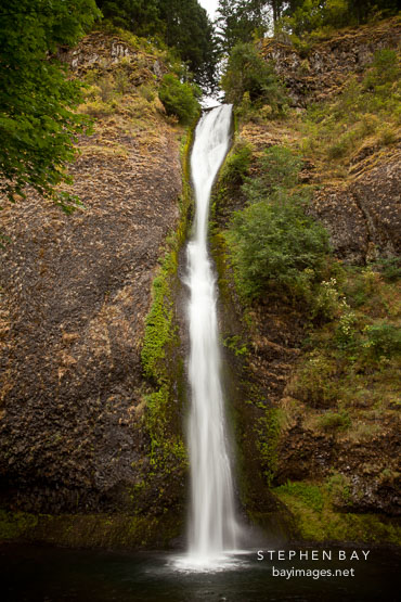 Horsetail falls. Columbia River Gorge, Oregon.