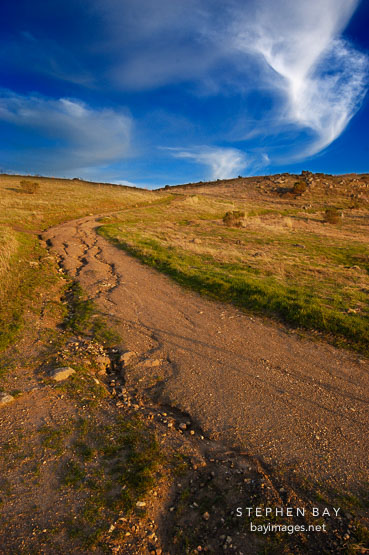 Trail erosion. Russian Ridge Open Space Preserve. California.