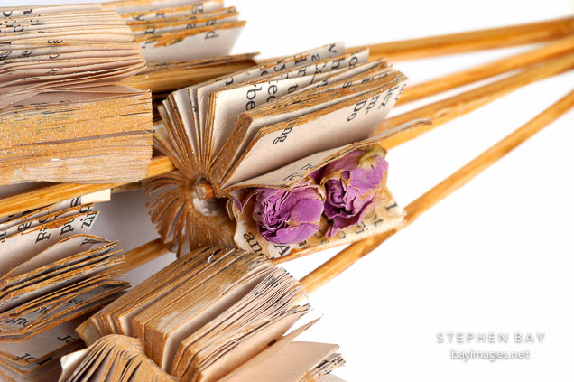 Flower book by Barbara Mortkowitz.