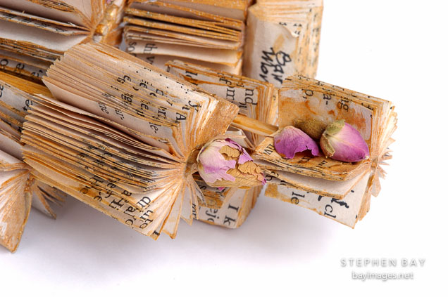 Flower book by Barbara Mortkowitz.
