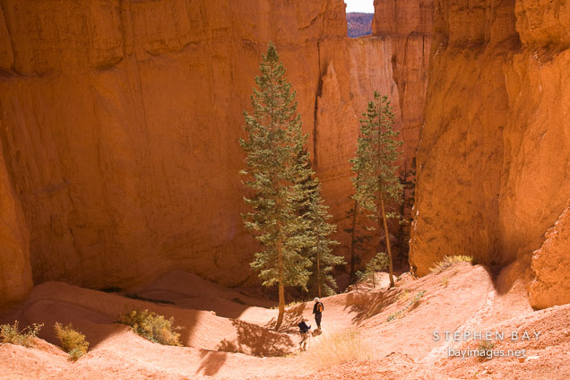 Two hikers navigating switchbacks on the Navajo Trail. Bryce Canyon NP, Utah.