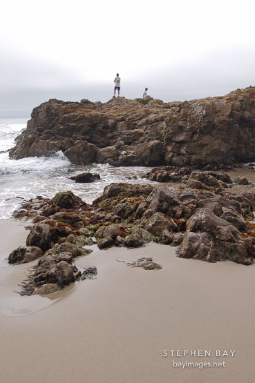 Pescadero state beach, California, USA.