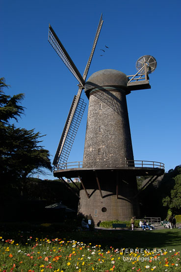 Dutch Windmill and flowers. Golden Gate Park, San Francisco, California, USA.